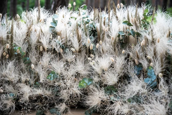 Espiguillas esponjosas, flores y velas en el suelo — Foto de Stock