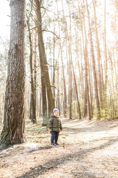 幼児男の子は日当たりの良い森の中に立つ — ストック写真