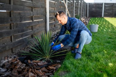 Baharda bahçede bahçeyle uğraşan genç bir adam.