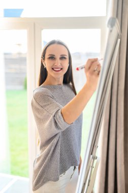 Çevrimiçi öğretim kavramı, eğitici webinarlar