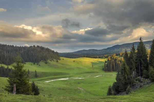 Avrupa'nın doğası