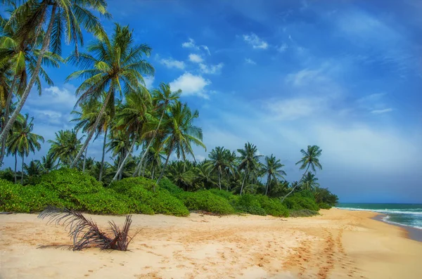 Praia de areia e céu azul Sri Lanka — Fotografia de Stock