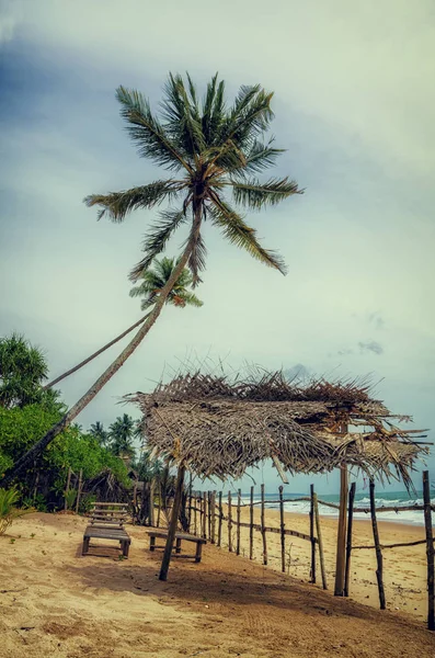 Entspannen Sie sich am Strand mit Palmen — Stockfoto