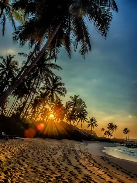 Pôr do sol sobre as coqueiros — Fotografia de Stock