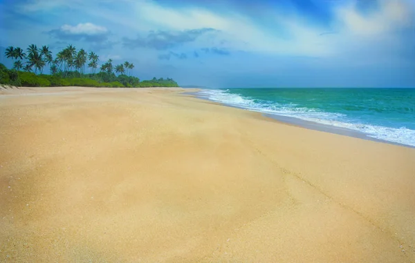 Tropical sandy beach on Sri Lanka — Stock Photo, Image