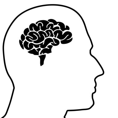 insan kafası ve beyin