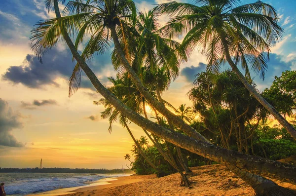 Pôr do sol na praia — Fotografia de Stock