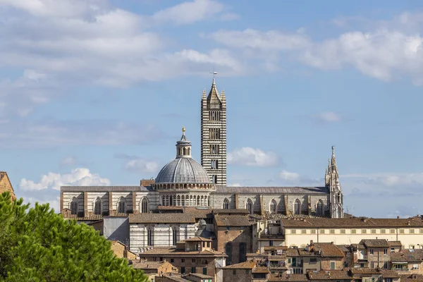 Blick auf die Kathedrale von Siena — Stockfoto