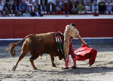 Boğa güreşçisi bullring