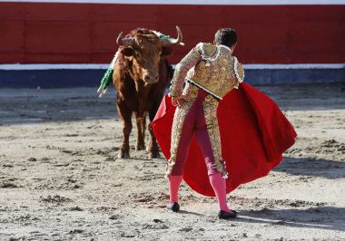 Boğa güreşçisi bullring