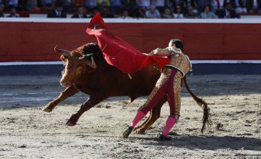 Bullfighter in the bullring clipart