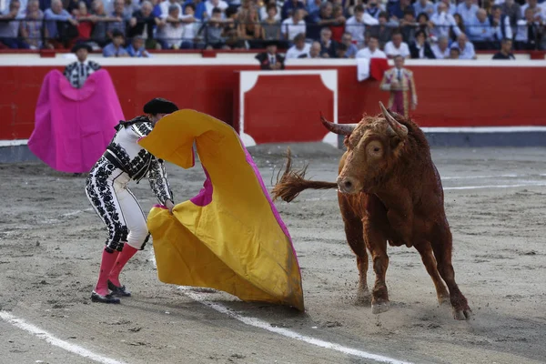 Bullfighter in bullring — Stock Photo, Image