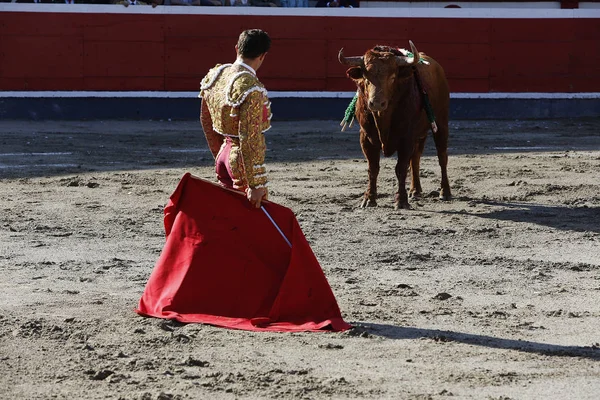 Bullfighter in bullring Stock Picture