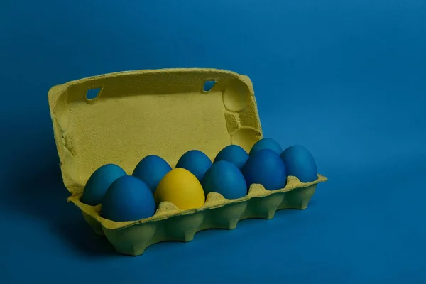 Blue and yellow eggs on blue and yellow background
