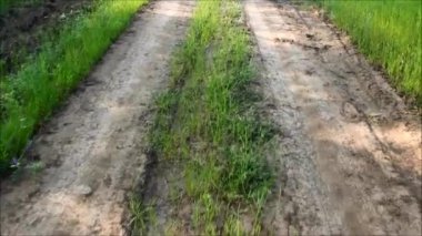 Çim ile yol boyunca pacing