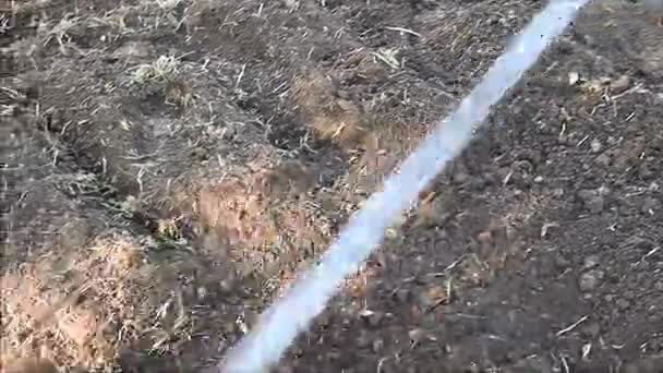 栽培後の地面を平準化熊手 — ストック動画