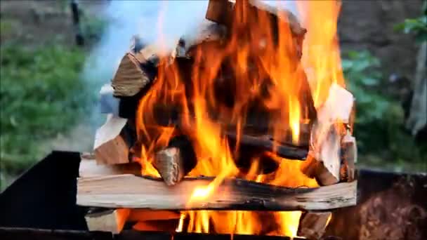 Дрова горят ярким пламенем и дымом — стоковое видео