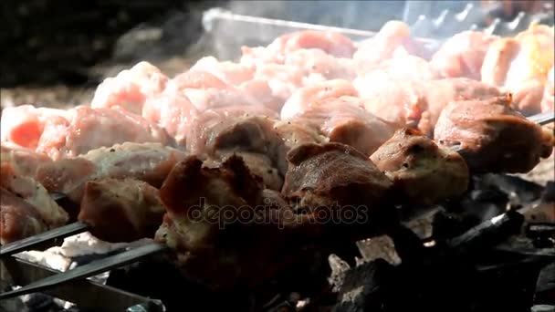 Carne asada sobre carbones calientes — Vídeo de stock