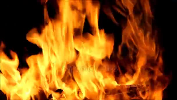 黑色背景上的火焰的舌头 — 图库视频影像