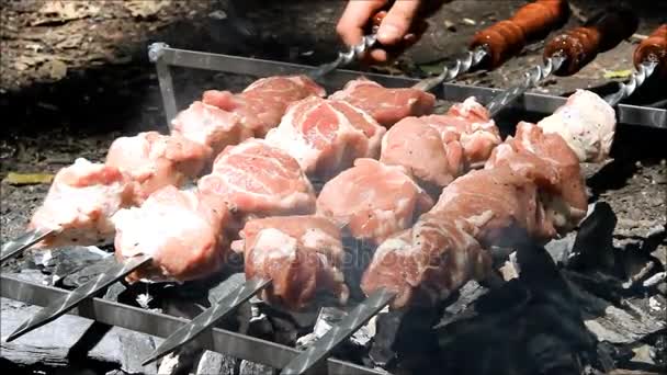 Des morceaux de viande commencent à cuire sur des charbons chauds — Video