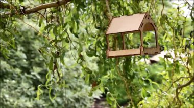 Bir kuş besleyici bir bükülmüş söğüt dallarında