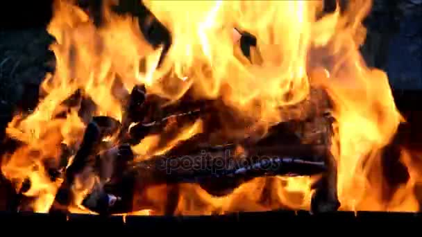 Spalanie drewna opałowego, zbliżenie — Wideo stockowe