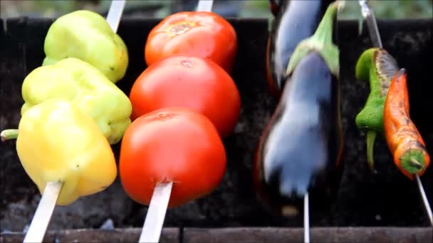 Légumes cuits sur un barbecue — Video