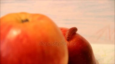 Bir apple tırmanma tırtıl