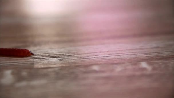 Fortschrittsbalken in Form eines Wurms, der über einen Fußboden kriecht — Stockvideo