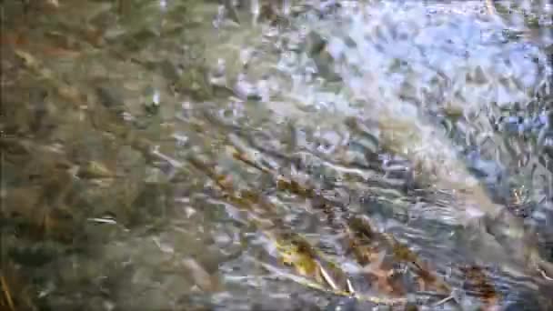 Ondulations sur l'eau claire, gros plan — Video