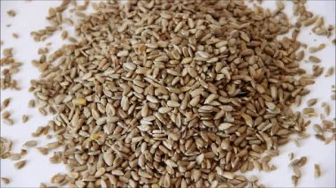 Bir yığın basamaklı tohumları