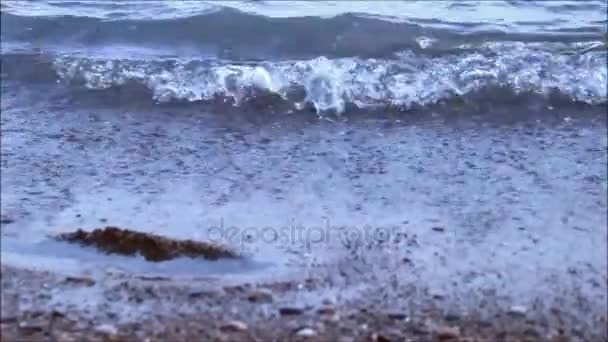 Jambes femelles jouant avec les vagues venant en sens inverse de la mer — Video