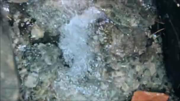 Web tendu sur l'eau ruisselante — Video