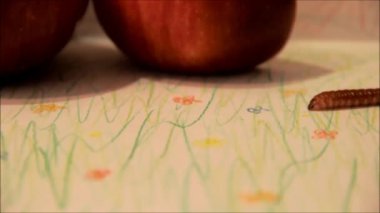 Caterpillar Kırmızı elma tarama