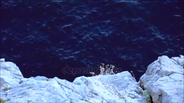 闪耀的海平面下悬崖 — 图库视频影像