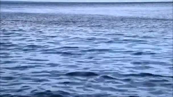 Wellen im Wasser vor Regen — Stockvideo