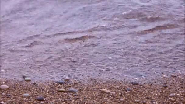 Pequeñas olas golpeando en una playa de guijarros — Vídeos de Stock