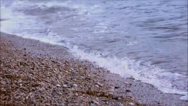 Маленькі хвилі, що летять на гальковому пляжі — стокове відео