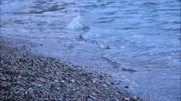 Pequeñas olas golpeando en una playa de guijarros — Vídeos de Stock