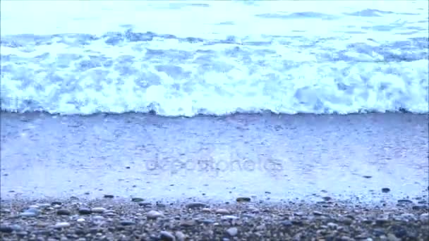 Μικρών κυμάτων lapping στην παραλία με βότσαλα — Αρχείο Βίντεο