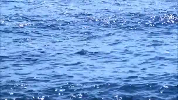 Un mar azul tranquilo — Vídeo de stock