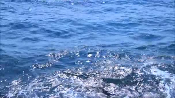 Nyugodt hullámok a part közelében — Stock videók