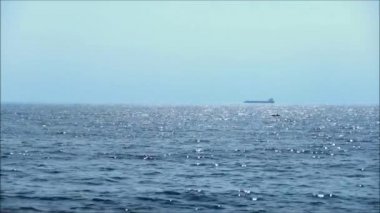 Denizde iki tekne