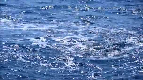 Acqua di mare schiumosa — Video Stock