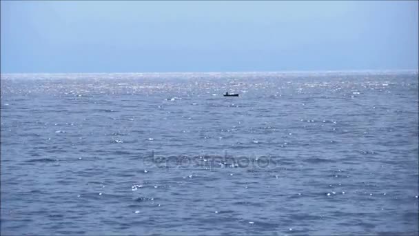 Ensam båt i havet — Stockvideo
