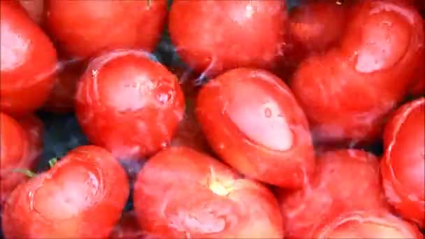 Tomates flotando en agua — Vídeo de stock
