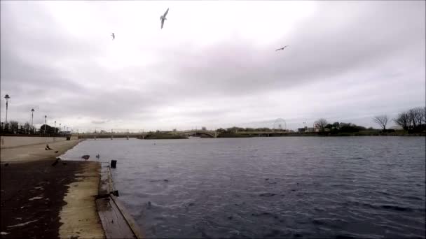 Southport, vue sur l'étang et le pont vénitien — Video