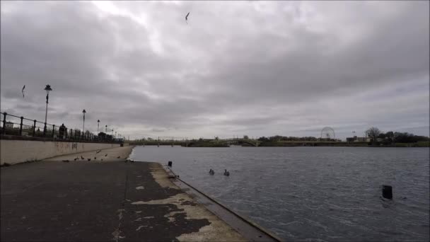 Southport, vue sur l'étang et le pont vénitien — Video