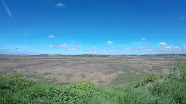 River wyre, stanah. Flügelmündung Landpark, ein Vogel fliegt über den Fluss — Stockvideo