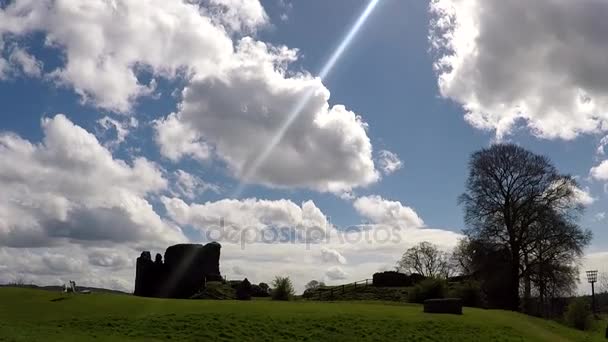 Hond loopt naar de Kendal Castle — Stockvideo
